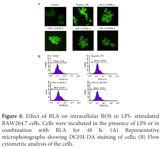 interdisciplinary-microinflammation-cytometric-analysis-cells