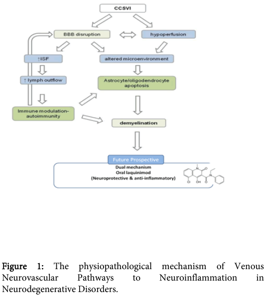 interdisciplinary-microinflammation-physiopathological-mechanism-Venous