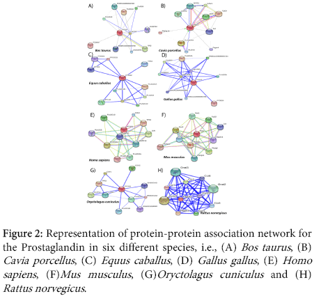 interdisciplinary-microinflammation-protein-protein-association