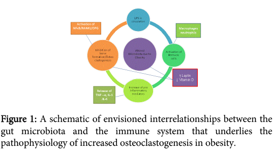 interdisciplinary-microinflammation-schematic-envisioned
