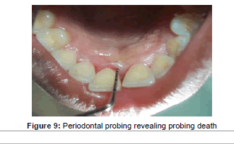 interdisciplinary-revealing-probing