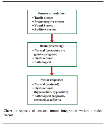 Newborn Reflexes Chart