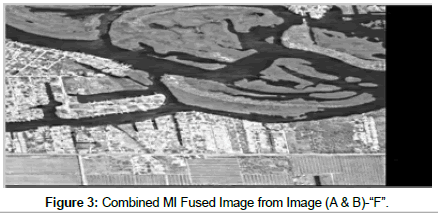 lovotics-Combined-MI-Fused-Image