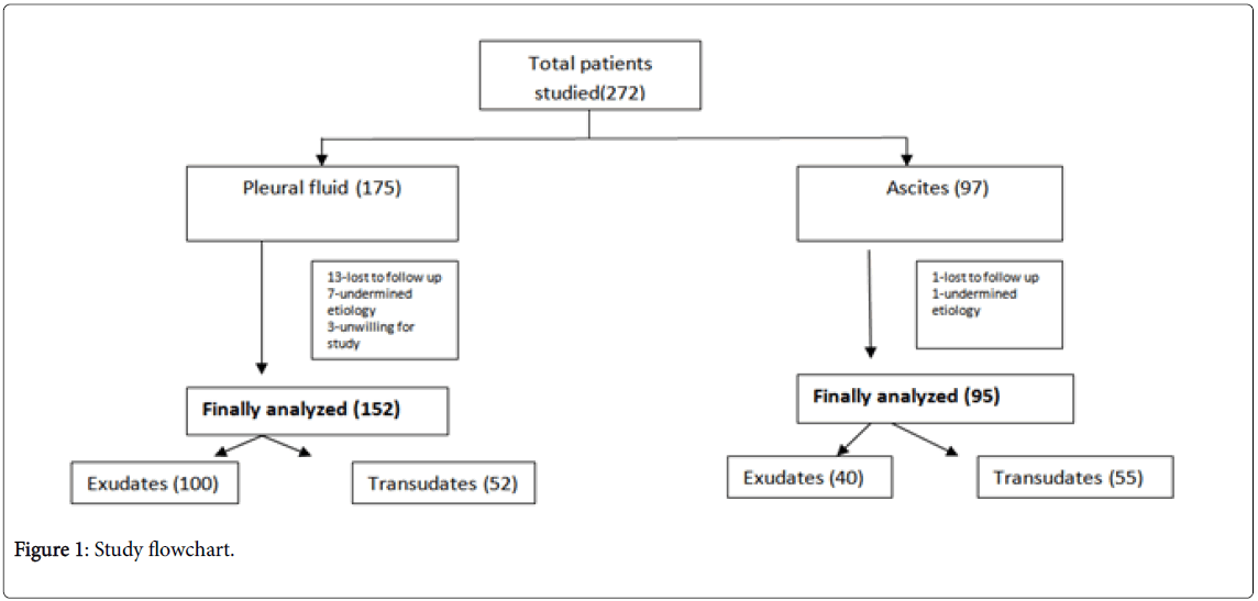 Pathophysiology Of Pleural Effusion In Flow Chart