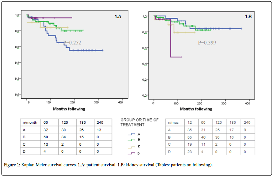 Refractory lupus nephritis a survey Refractory lupus nephritis a survey