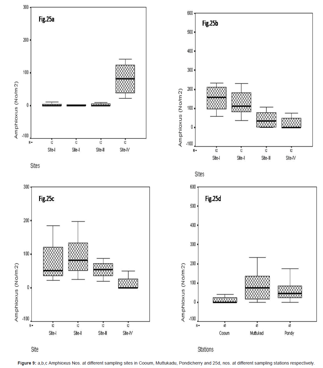 marine-science-research-Amphioxus-different-sampling