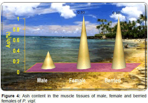 marine-science-research-Ash-content-muscle-tissues