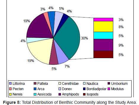 marine-science-research-Benthic-Community