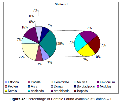 marine-science-research-Benthic-Fauna-Available