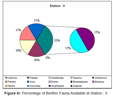 marine-science-research-Benthic-Fauna-Available