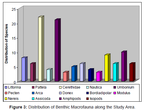 marine-science-research-Benthic-Macrofauna-Study-Area