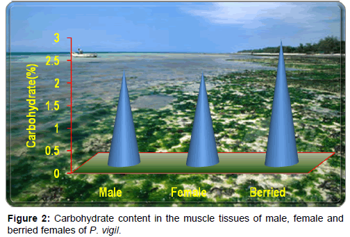 marine-science-research-Carbohydrate-content-muscle-tissues