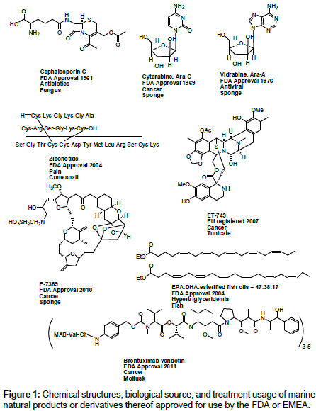 marine-science-research-Chemical-structures