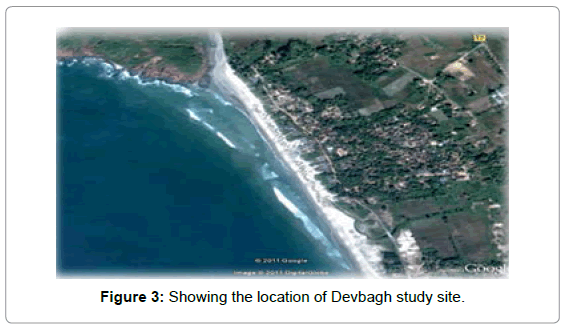 marine-science-research-Devbagh-study-site