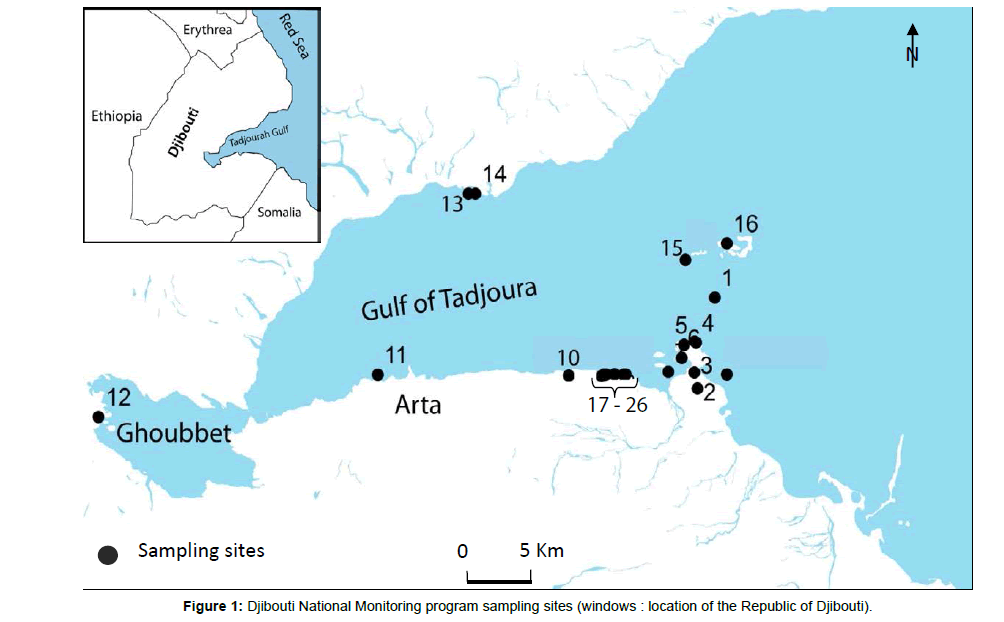 marine-science-research-Djibouti-National-Monitoring-program
