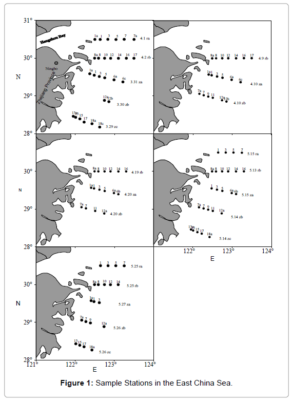 marine-science-research-East-China-Sea