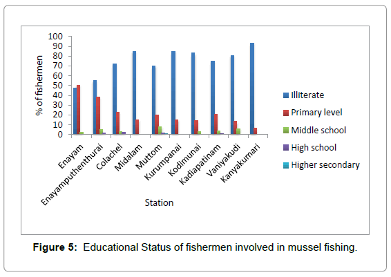 research papers on socio economic status