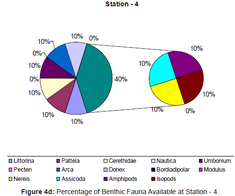 marine-science-research-Fauna-Available-Station