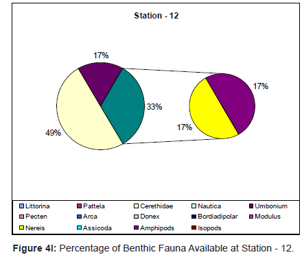 marine-science-research-Fauna-Available-Station