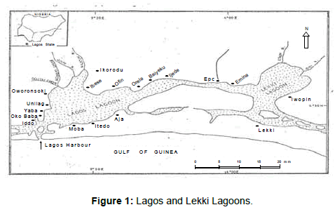 marine-science-research-Lagos-Lekki-Lagoons