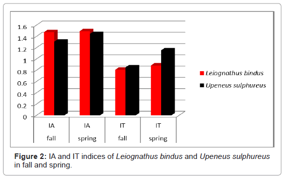 marine-science-research-Leiognathus-bindus