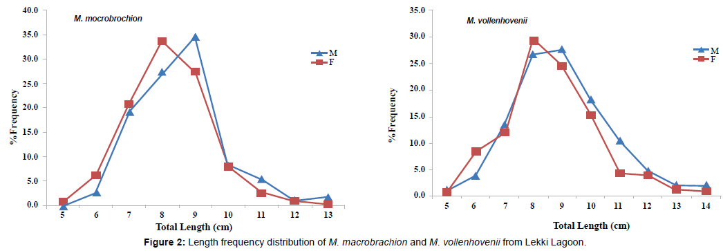 marine-science-research-Length-frequency-distribution