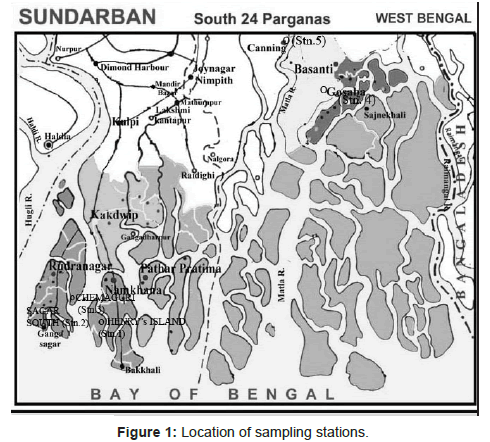 marine-science-research-Location-sampling-stations