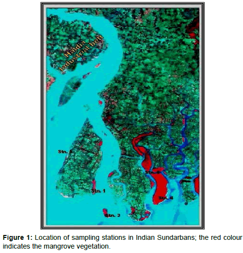 marine-science-research-Location-sampling-stations
