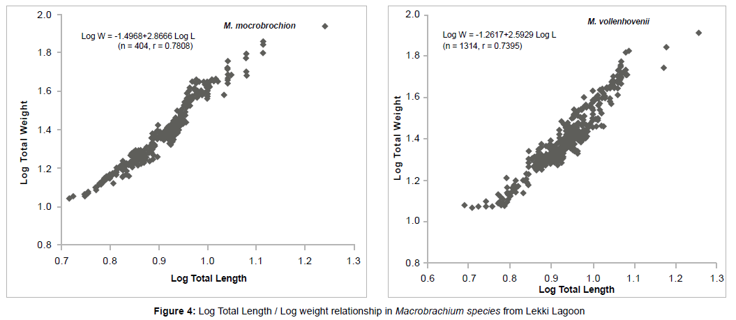 marine-science-research-Log-Total-Length