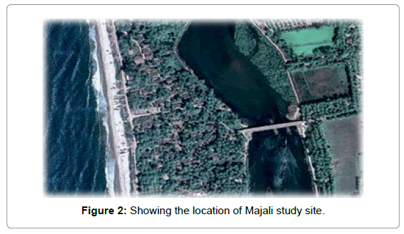 marine-science-research-Majali-study-site