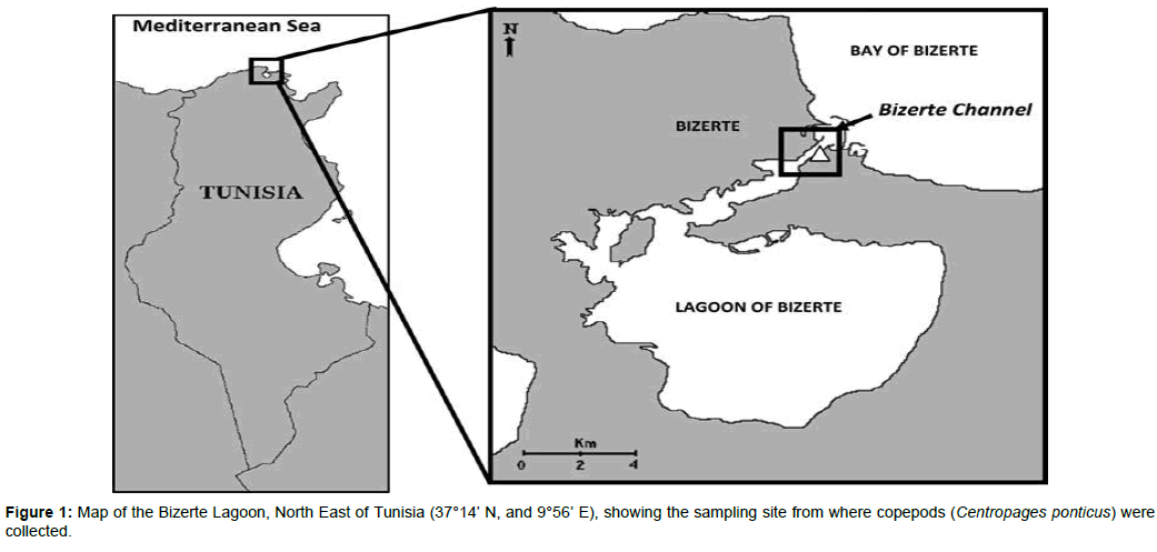 marine-science-research-Map-Bizerte-Lagoon