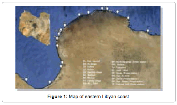 marine-science-research-Map-eastern-Libyan-coast