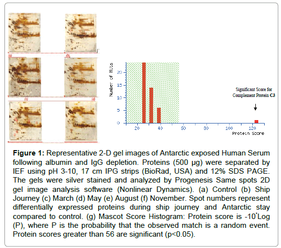 marine-science-research-Mascot-Score-Histogram