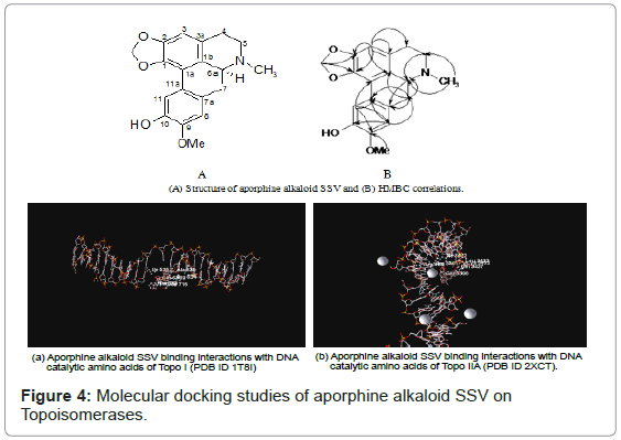 marine-science-research-Molecular-docking-studies