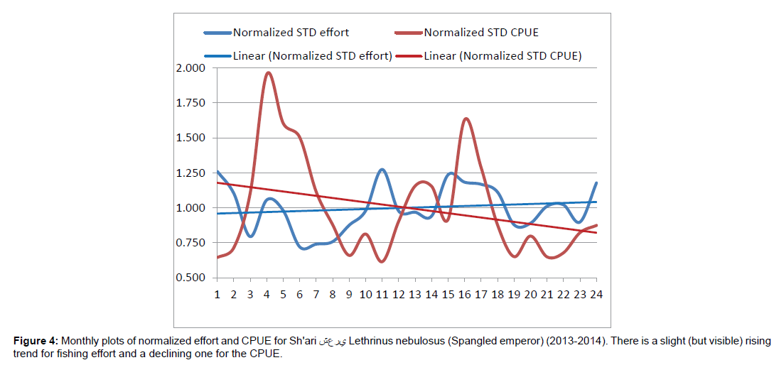 marine-science-research-Monthly-plots-normalized