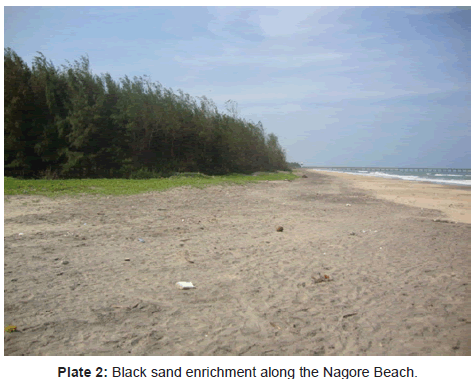 marine-science-research-Nagore-Beach