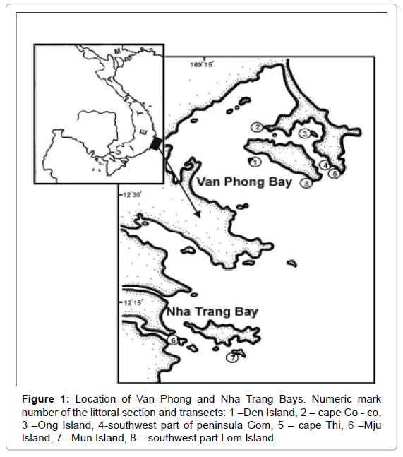 marine-science-research-Nha-Trang-Bays
