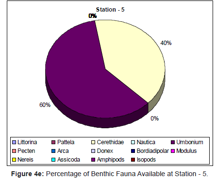 marine-science-research-Percentage-Fauna