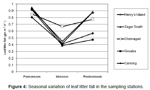 marine-science-research-Seasonal-variation-leaf-litter