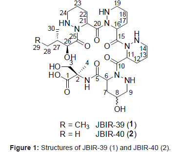 marine-science-research-Structures-JBIR