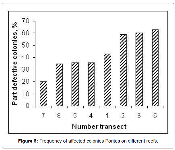 marine-science-research-colonies-Porites