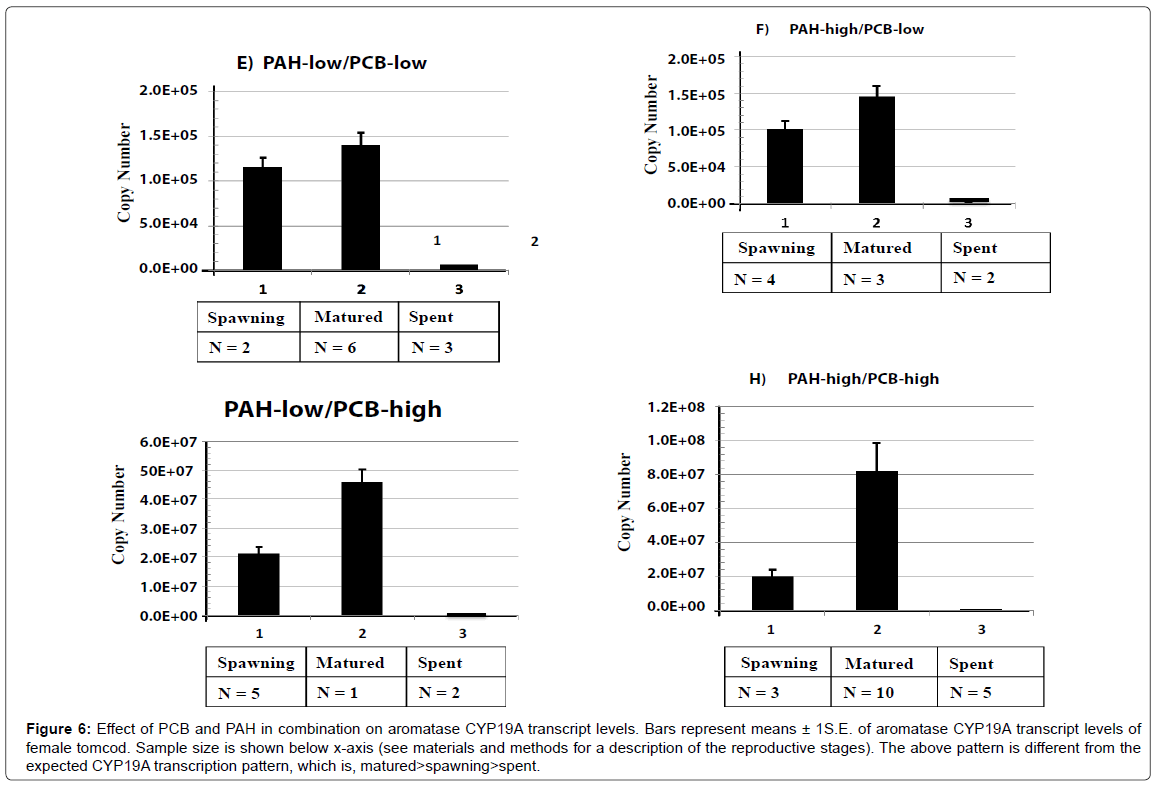marine-science-research-combination-aromatase-CYP19A
