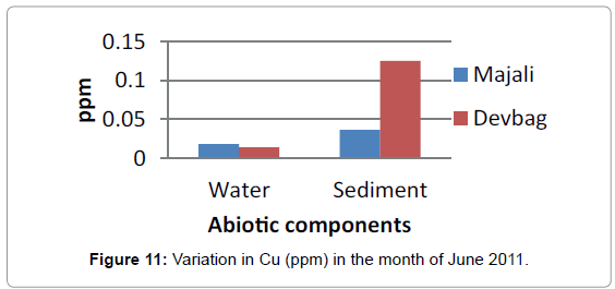 marine-science-research-concentration-Cu