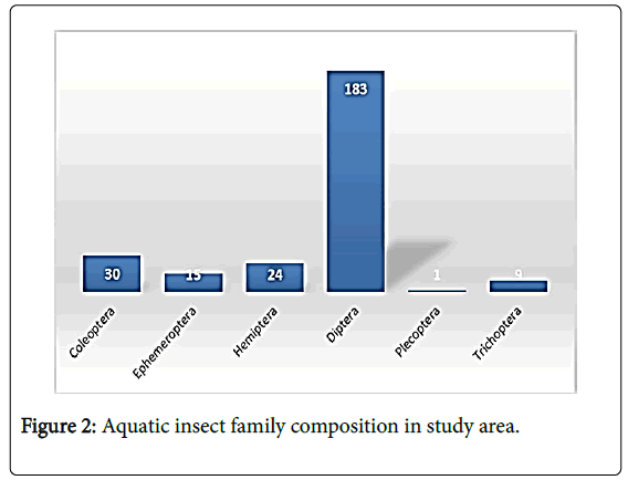 marine-science-research-development-Aquatic-insect-family