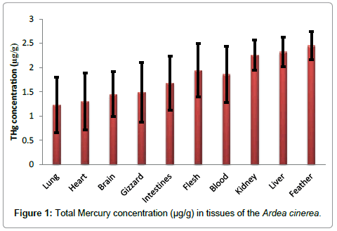 marine-science-research-development-Ardea-cinerea