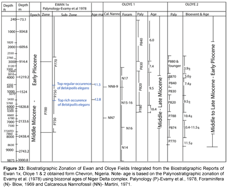 marine-science-research-development-Biostratigraphic-zonation