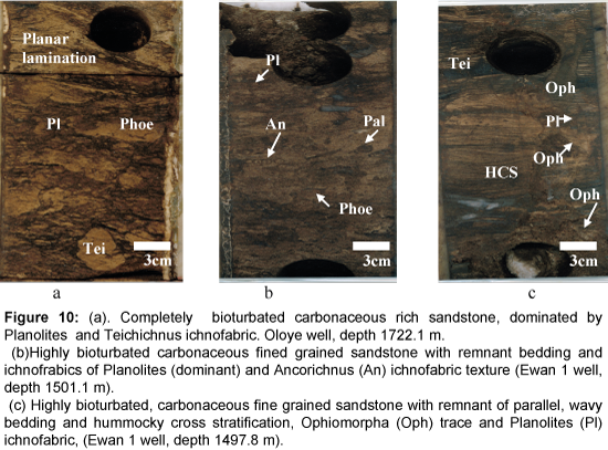marine-science-research-development-Completely-bioturbated