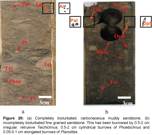 marine-science-research-development-Completely-bioturbated