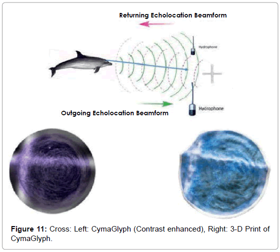 marine-science-research-development-Cross-Left-CymaGlyph