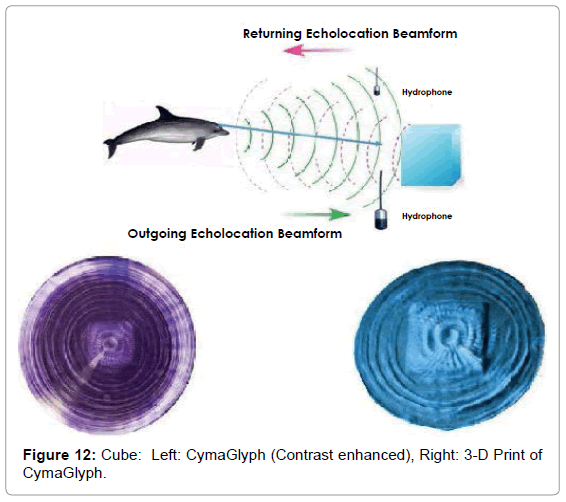 marine-science-research-development-Cube-Left-CymaGlyph